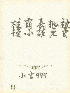 校霸长批被发现后小说免费阅读1v6