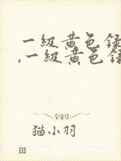 一级黄色录像片,一级黄色录像片