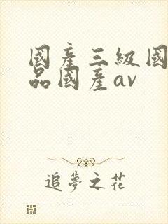 国产三级国产精品国产av