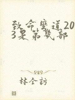 致命弯道2003是第几部