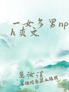 一女多男np巨h爽文