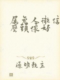 属兔人微信用什么头像好