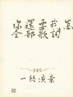 你还要我怎样的全部歌词