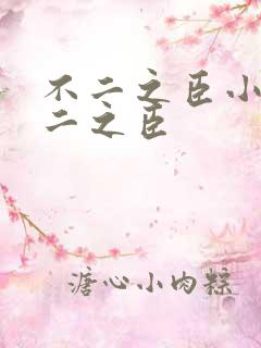 不二之臣小说不二之臣