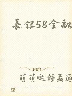长银58金融