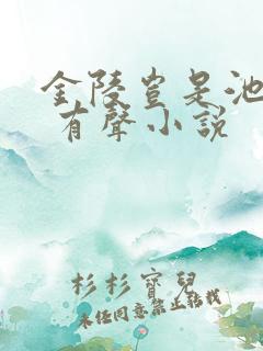 金陵岂是池中物 有声小说