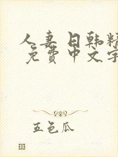 人妻 日韩精品 免费中文字幕