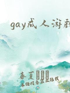 gay成人游戏