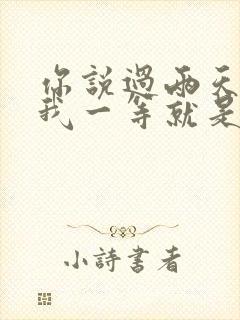 你说过两天来看我一等就是一年多歌词