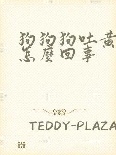 狗狗狗吐黄水是怎么回事