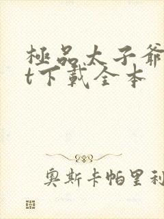 极品太子爷txt下载全本