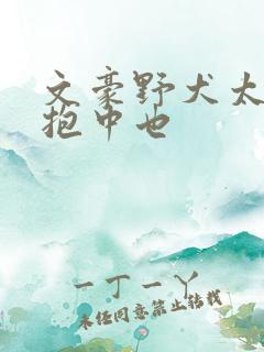 文豪野犬太宰治抱中也