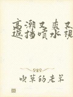 高潮又爽又黄无遮挡喷水视频