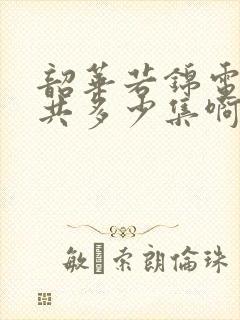 韶华若锦电视剧共多少集啊