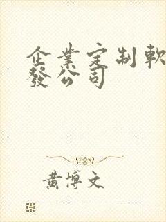 企业定制软件开发公司