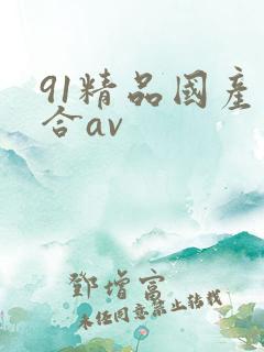 91精品国产综合av