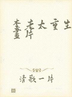 李老太重生记动画片