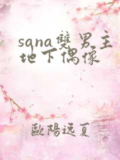 sana双男主地下偶像
