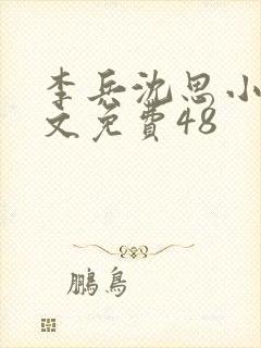 李兵沈思小说全文免费48