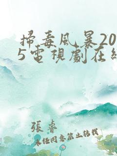 扫毒风暴2025电视剧在线播放免费观看全集