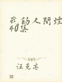 我的人间烟火第40集