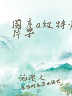 国产a级特黄的片子
