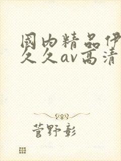 国内精品伊人久久久av高清