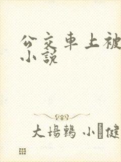 公交车上被强入小说