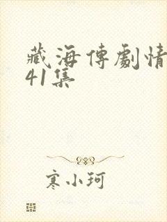 藏海传剧情讲解41集