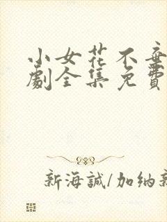 小女花不弃电视剧全集免费观看