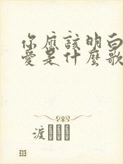 你应该明白我的爱是什么歌曲