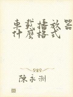 车载播放器支持什么格式