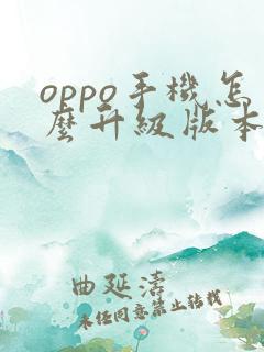 oppo手机怎么升级版本