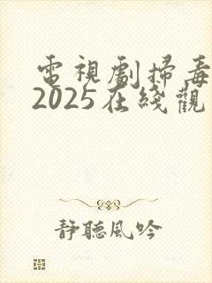 电视剧扫毒风暴2025在线观看全集