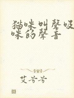 猫咪叫声吸引猫咪的声音