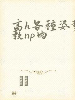 高h各种姿势调教np肉