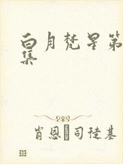 白月梵星第25集