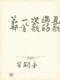 第一次遇见你是哪首歌的歌词