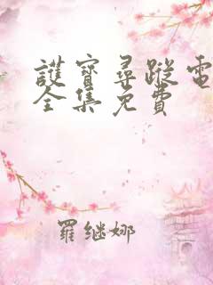 护宝寻踪电视剧全集免费