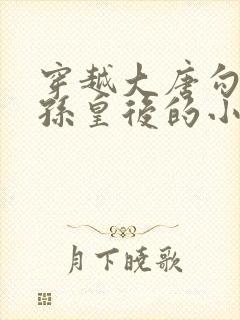 穿越大唐勾搭长孙皇后的小说