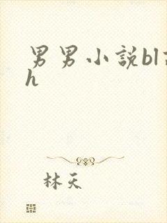 男男小说bl高h