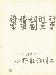 将婚姻进行到底电视剧免费观看全集