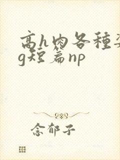 高h肉各种姿势g短篇np