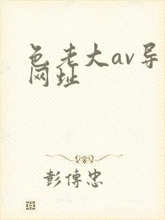色老大av导航网址