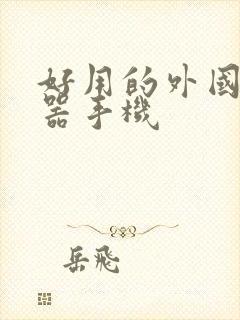 好用的外国浏览器手机