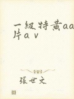 一级特黄aa大片aⅴ