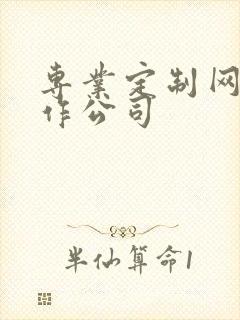 专业定制网站制作公司