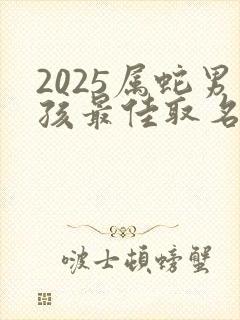 2025属蛇男孩最佳取名字