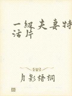 一级夫妻特黄生活片