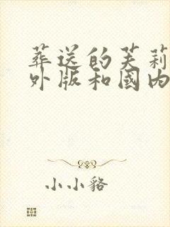 葬送的芙莉莲境外版和国内的有什么区别